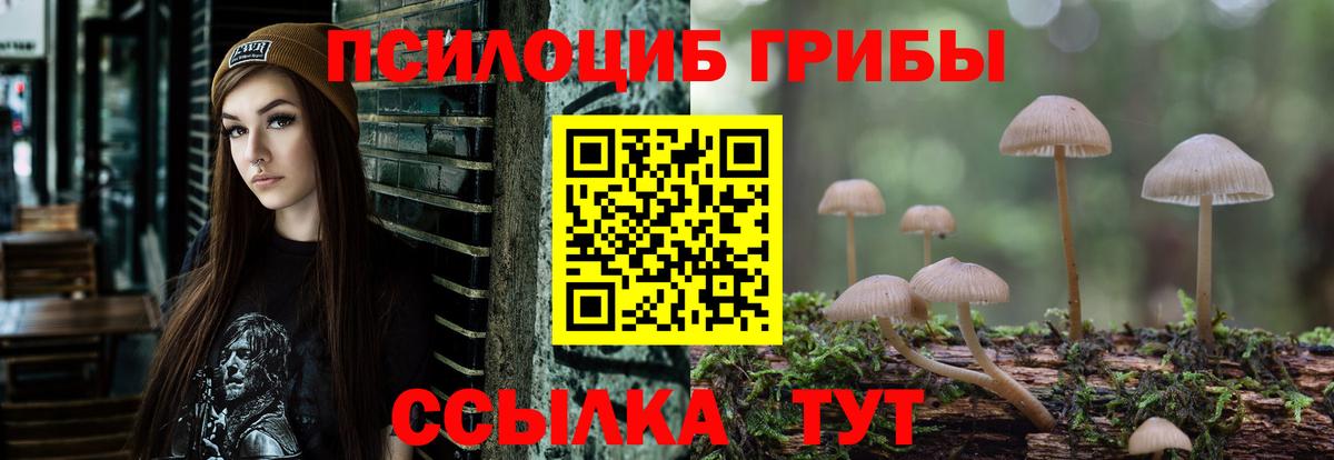 Галлюциногенные грибы Cubensis  Вход с VPN  Белая Калитва 