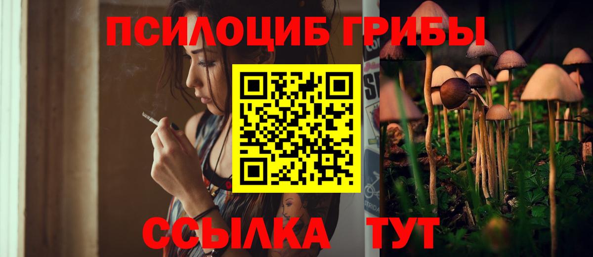 Галлюциногенные грибы мицелий Белая Калитва